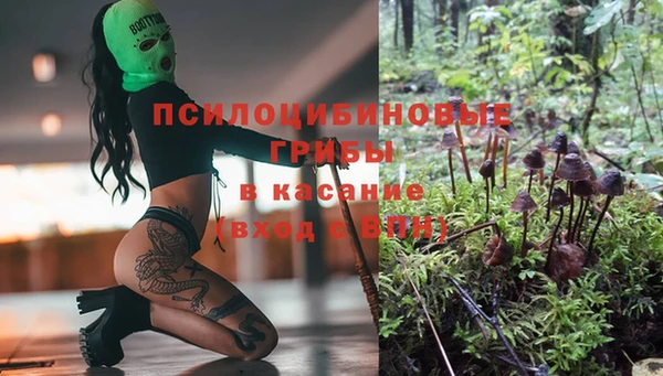 прущая мука Абаза
