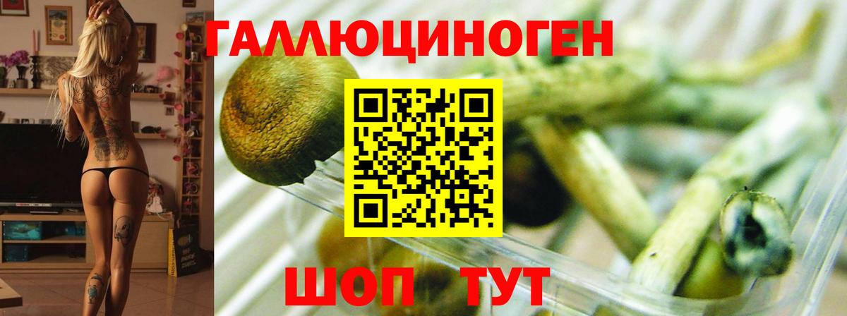 Абакан  Псилоцибиновые грибы Magic Shrooms  Вход с VPN  Псилоцибиновые грибы Magic Shrooms 