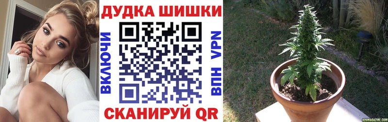 Бошки марихуана планчик  продажа наркотиков  Абакан 